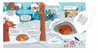 b96256af0977c934d008899119c33417