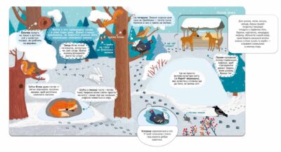 e35c8add8116867d00a07e67ab516402