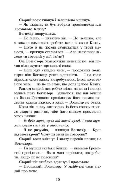 koti_voyaki_prozir_str_2_2