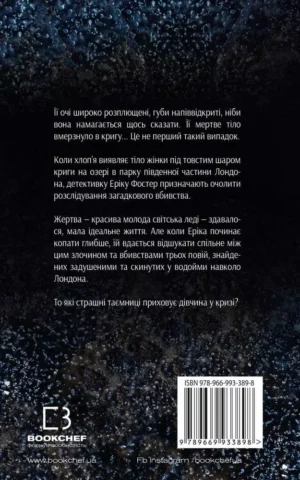 Книга Бриндза Дівчина у кризі