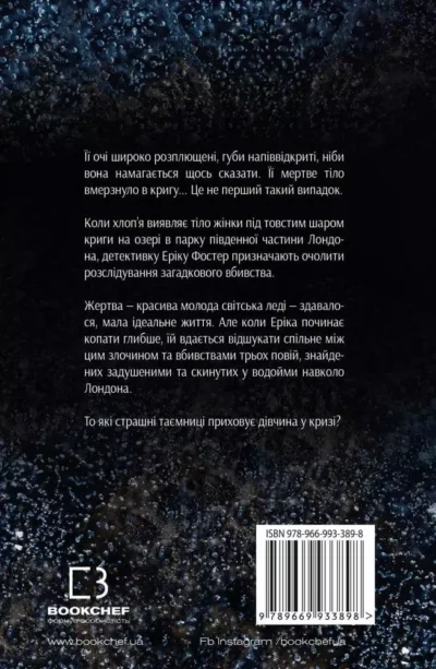 Бриндза Дівчина у кризі 2