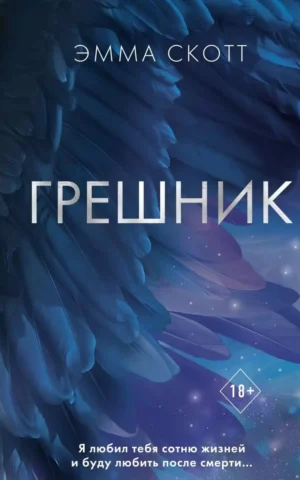 Книга Скотт Грешник