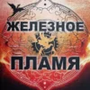 Книга Яррос Железное пламя